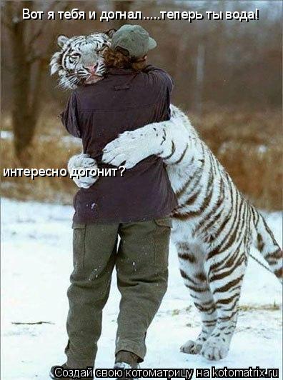 Вот я тебя и догнал.....теперь ты вода! интересно догонит?... Котоматрица: Вот я тебя и догнал.....теперь ты вода! интересно догонит?