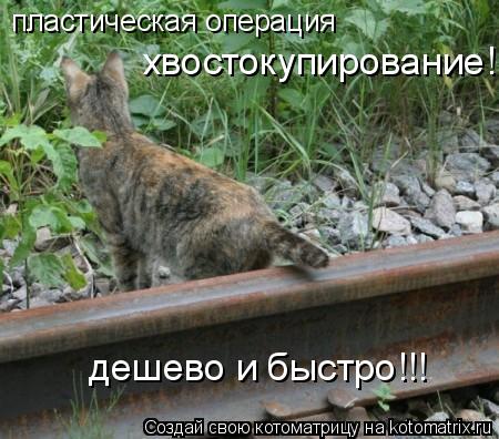 пластическая операция хвостокупирование! дешево и быстро!!!... Котоматрица: пластическая операция хвостокупирование! дешево и быстро!!!