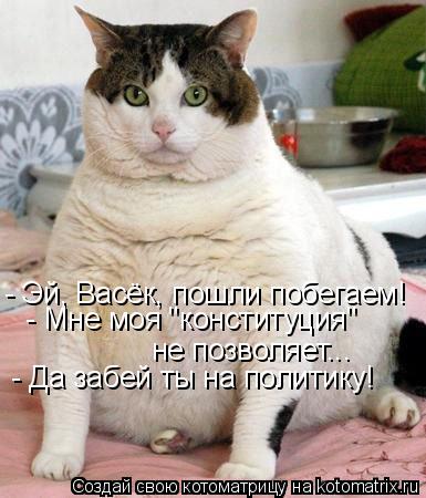 - Эй, Васёк, пошли побегаем! не позволяет... - Да забей ты на политику! - Мне моя "конституция"... Котоматрица: - Эй, Васёк, пошли побегаем! не позволяет... - Да забей ты на политику! - Мне моя "конституция"