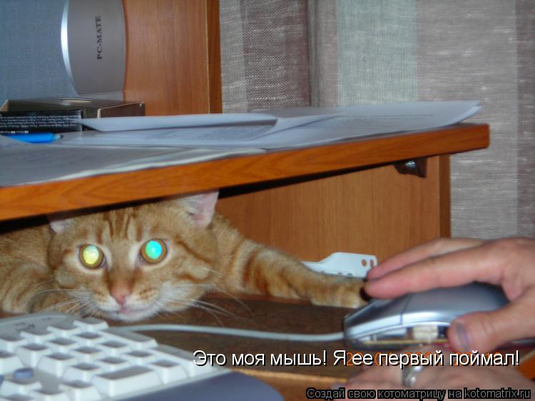 Это моя мышь! Я ее первый поймал!... Котоматрица: Это моя мышь! Я ее первый поймал!