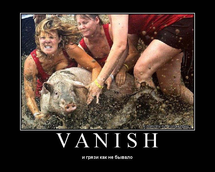 V A N I S H ... Котоматрица: V A N I S H