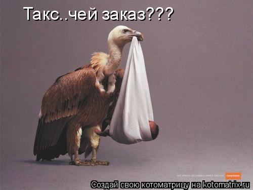 Такс..чей заказ???... Котоматрица: Такс..чей заказ???