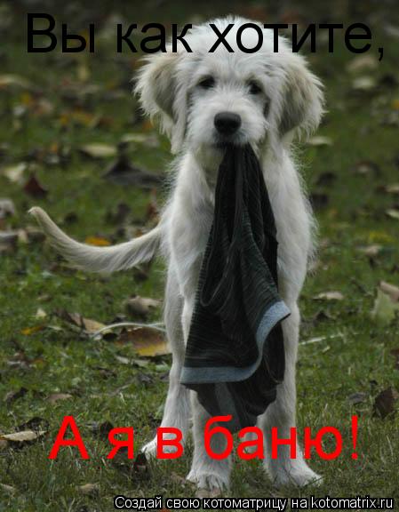 Вы как хотите, А я в баню!... Котоматрица: Вы как хотите, А я в баню!
