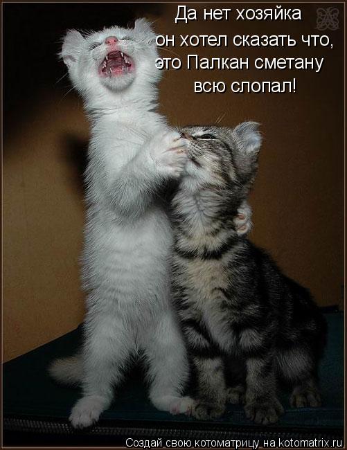 Да нет хозяйка он хотел сказать что, это Палкан сметану всю слопал!... Котоматрица: Да нет хозяйка он хотел сказать что, это Палкан сметану всю слопал!