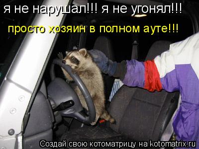я не нарушал!!! я не угонял!!! просто хозяин в полном ауте!!!... Котоматрица: я не нарушал!!! я не угонял!!! просто хозяин в полном ауте!!!