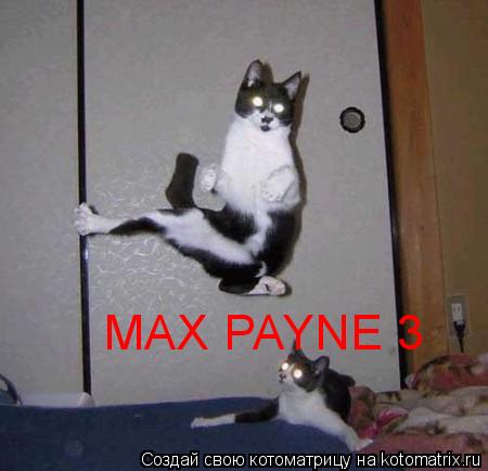 Котоматрица: MAX PAYNE 3