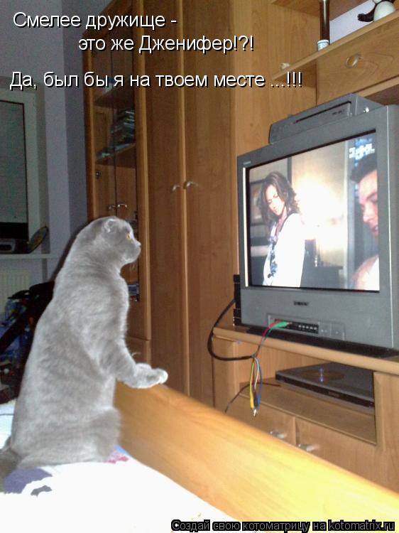 Смелее дружище - это же Дженифер!?! Да, был бы я на твоем месте ...!!!... Котоматрица: Смелее дружище - это же Дженифер!?! Да, был бы я на твоем месте ...!!!