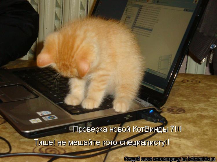 Проверка новой КотВинды 7!!! Тише! не мешайте кото-специалисту!!... Котоматрица: Проверка новой КотВинды 7!!! Тише! не мешайте кото-специалисту!!