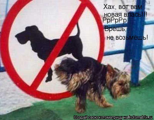 Хах, вот вам новая влась!!! РрРрРр Врёшь, не возьмёшь!... Котоматрица: Хах, вот вам новая влась!!! РрРрРр Врёшь, не возьмёшь!