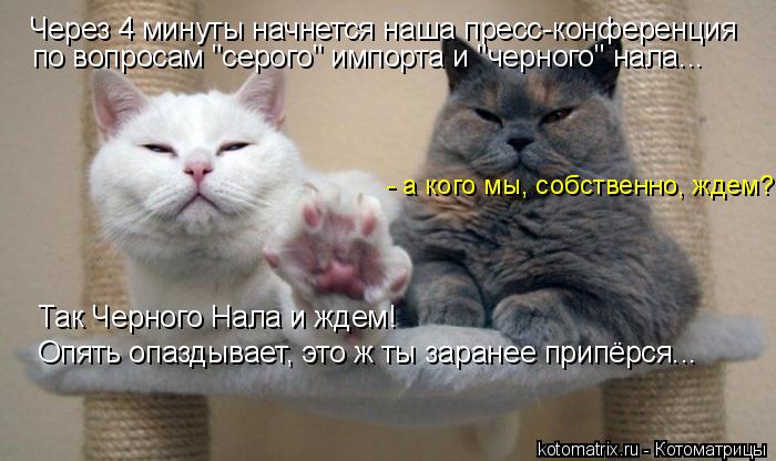 Через 4 минуты начнется наша пресс-конференция по вопросам "серого" импорта и "черного" нала... - а к... Котоматрица: Через 4 минуты начнется наша пресс-конференция по вопросам "серого" импорта и "черного" нала... - а кого мы, собственно, ждем? Так Черного Нала и