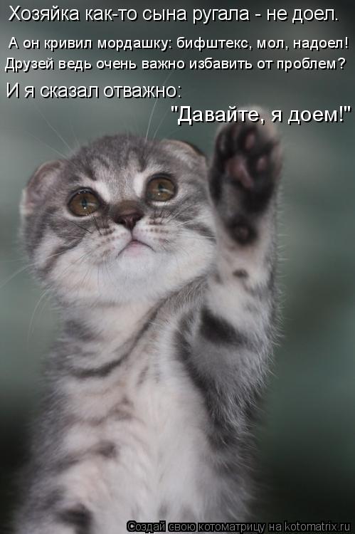 Хозяйка как-то сына ругала - не доел. А он кривил мордашку: бифштекс, мол, надоел! И я сказал отважно... Котоматрица: Хозяйка как-то сына ругала - не доел. А он кривил мордашку: бифштекс, мол, надоел! И я сказал отважно: Друзей ведь очень важно избавить от проб