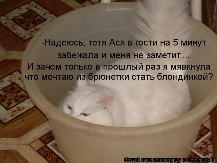 Котоматрица: -Надеюсь, тетя Ася в гости на 5 минут забежала и меня не заметит.... И зачем только в прошлый раз я мявкнула, что мечтаю из брюнетки стать блонд