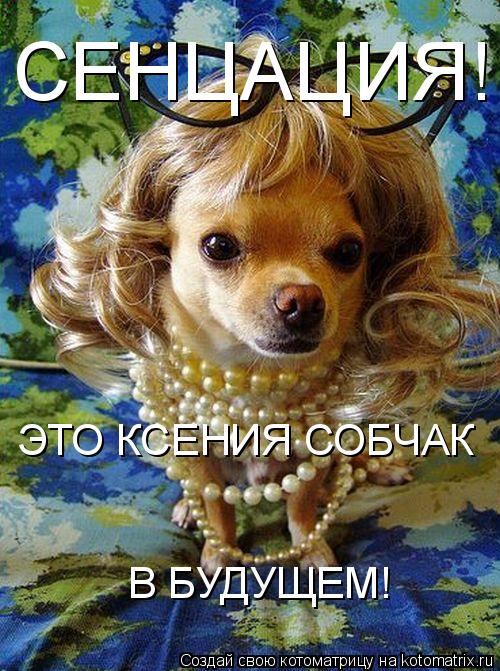 Котоматрица: СЕНЦАЦИЯ! ЭТО КСЕНИЯ СОБЧАК В БУДУЩЕМ!