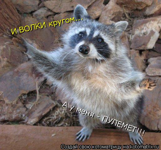 Котоматрица: И ВОЛКИ кругом... А у меня - ПУЛЕМЕТ!!!