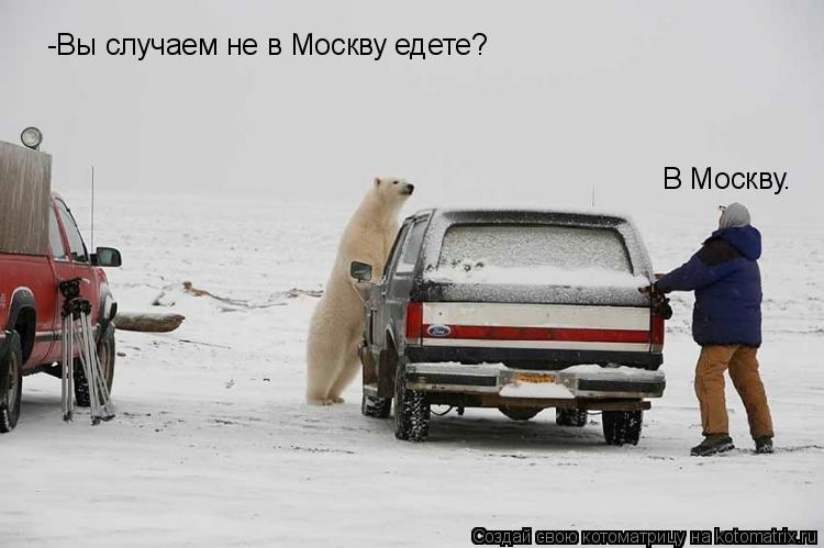 -Вы случаем не в Москву едете? В Москву.... Котоматрица: -Вы случаем не в Москву едете? В Москву.