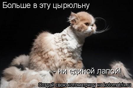 Котоматрица: Больше в эту цырюльну - ни единой лапой!