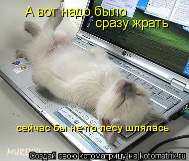 Котоматрица: А вот надо было  сразу жрать сейчас бы не по лесу шлялась