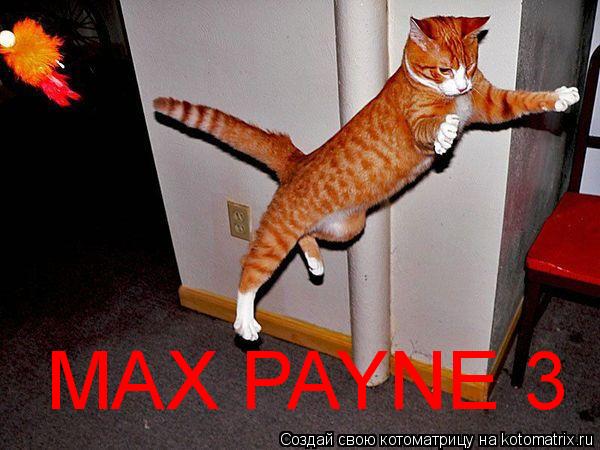 Котоматрица: MAX PAYNE 3