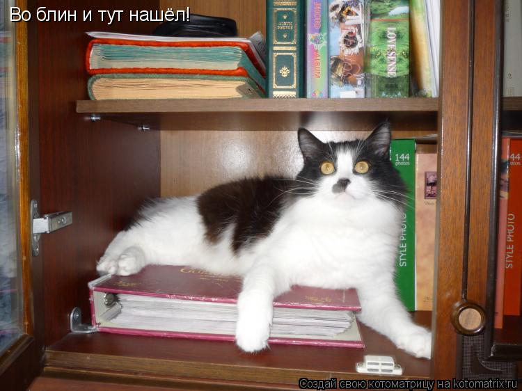 Котоматрица: Во блин и тут нашёл!