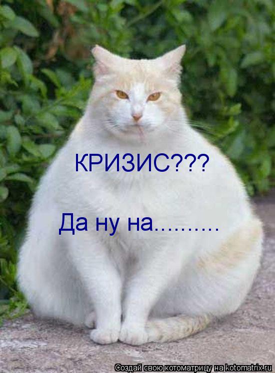КРИЗИС??? Да ну на............. Котоматрица: КРИЗИС??? Да ну на..........