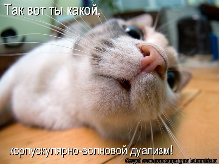 Так вот ты какой, корпускулярно-волновой дуализм!... Котоматрица: Так вот ты какой, корпускулярно-волновой дуализм!