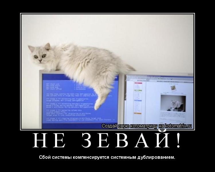 Котоматрица: Н Е   З Е В А Й ! 