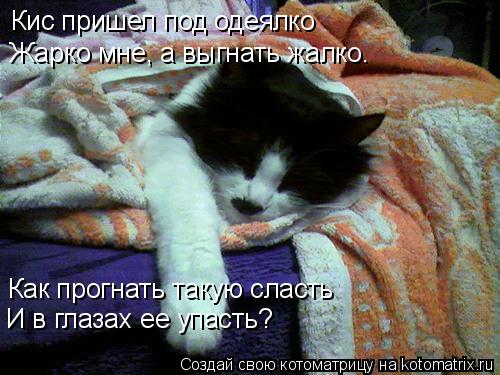 Котоматрица: Кис пришел под одеялко Жарко мне, а выгнать жалко. Как прогнать такую сласть И в глазах ее упасть?