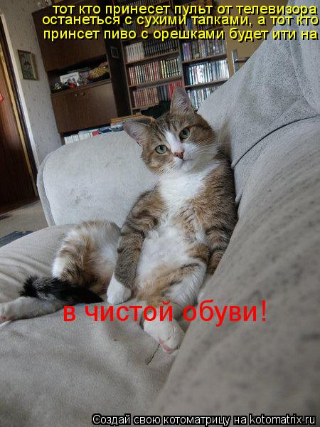 тот кто принесет пульт от телевизора останеться с сухими тапками, а тот кто принсет пиво с орешками б... Котоматрица: тот кто принесет пульт от телевизора останеться с сухими тапками, а тот кто принсет пиво с орешками будет ити на роботу в чистой обуви! ост