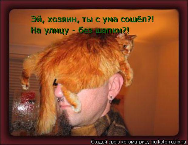 Эй, хозяин, ты с ума сошёл?! На улицу - без шапки?!... Котоматрица: Эй, хозяин, ты с ума сошёл?! На улицу - без шапки?!