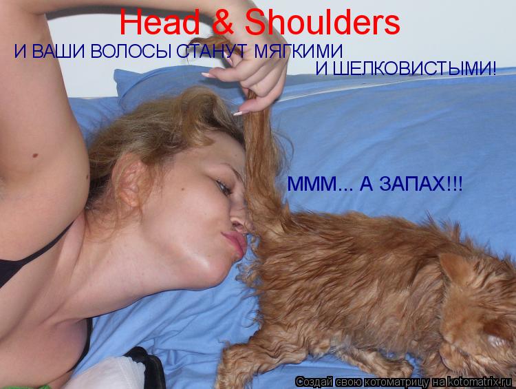 Котоматрица: Head & Shoulders И ВАШИ ВОЛОСЫ СТАНУТ МЯГКИМИ  И ШЕЛКОВИСТЫМИ! МММ... А ЗАПАХ!!!