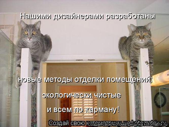 Нашими дизайнерами разработаны новые методы отделки помещений: экологически чистые и всем по карману!... Котоматрица: Нашими дизайнерами разработаны новые методы отделки помещений: экологически чистые и всем по карману!