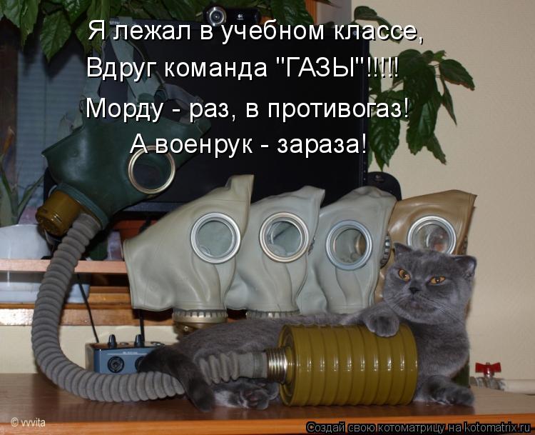 Я лежал в учебном классе, Вдруг команда "ГАЗЫ"!!!!! Морду - раз, в противогаз! А военрук - зараза!... Котоматрица: Я лежал в учебном классе, Вдруг команда "ГАЗЫ"!!!!! Морду - раз, в противогаз! А военрук - зараза!