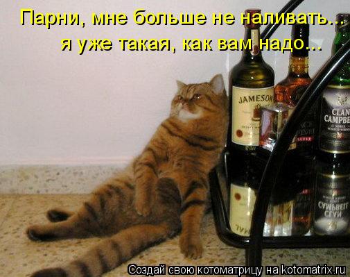 Парни, мне больше не наливать... я уже такая, как вам надо...... Котоматрица: Парни, мне больше не наливать... я уже такая, как вам надо...