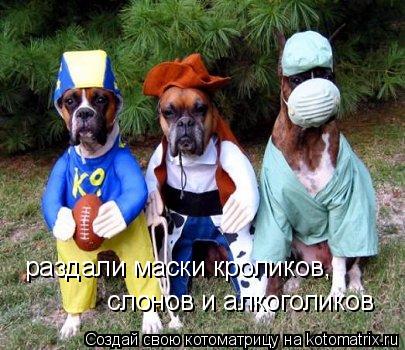 Котоматрица: раздали маски кроликов, слонов и алкоголиков