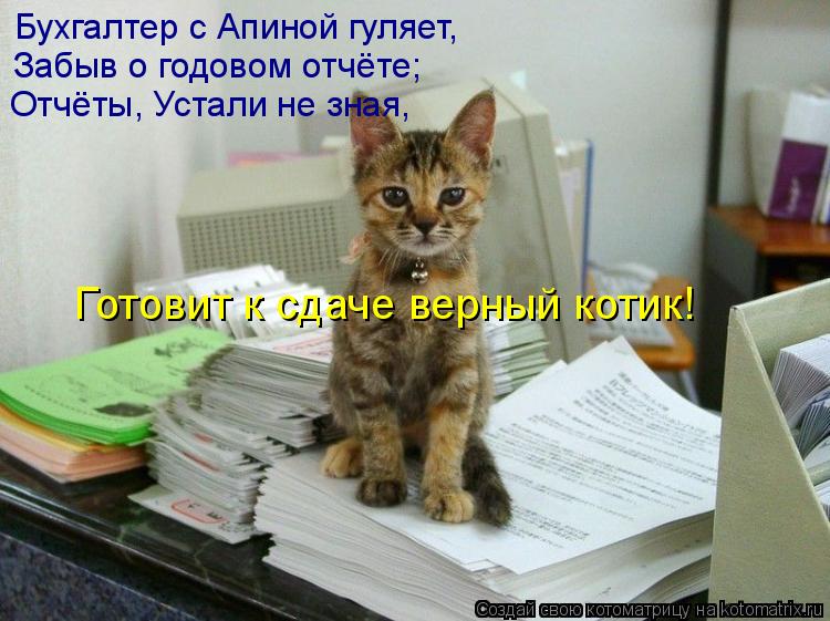 Котоматрица: Бухгалтер с Апиной гуляет, Забыв о годовом отчёте; Отчёты, Устали не зная, Готовит к сдаче верный котик!