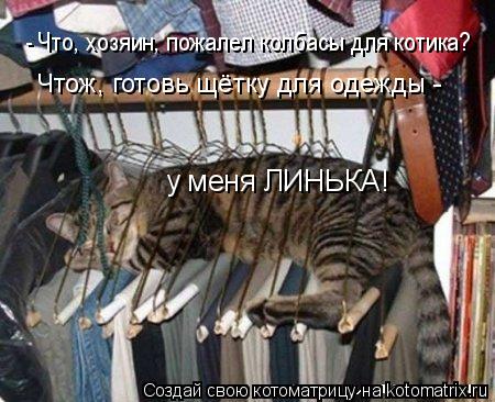 Котоматрица: - Что, хозяин, пожалел колбасы для котика? Чтож, готовь щётку для одежды - у меня ЛИНЬКА!
