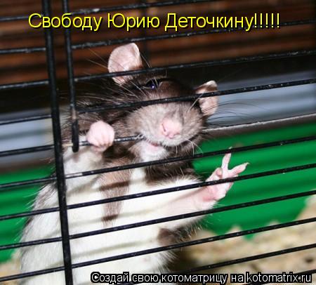 Свободу Юрию Деточкину!!!!!... Котоматрица: Свободу Юрию Деточкину!!!!!