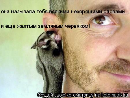 она называла тебя всякими нехорошими словами.... и еще желтым земляным червяком!... Котоматрица: она называла тебя всякими нехорошими словами.... и еще желтым земляным червяком!