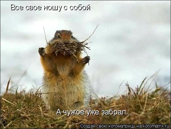 Котоматрица: Все свое ношу с собой А чужое уже забрал...