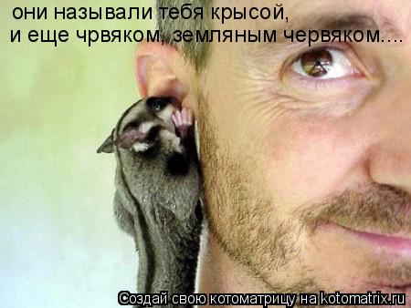 и еще чрвяком, земляным червяком.... они называли тебя крысой,... Котоматрица: и еще чрвяком, земляным червяком.... они называли тебя крысой,