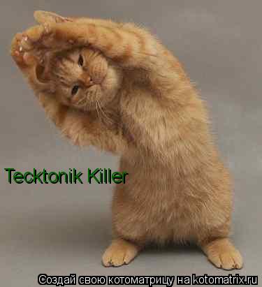 Tecktonik Killer... Котоматрица: Tecktonik Killer