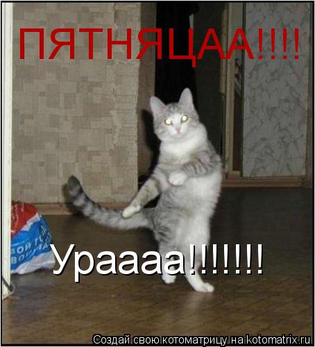 ПЯТНЯЦАА!!!! Ураааа!!!!!!!... Котоматрица: ПЯТНЯЦАА!!!! Ураааа!!!!!!!