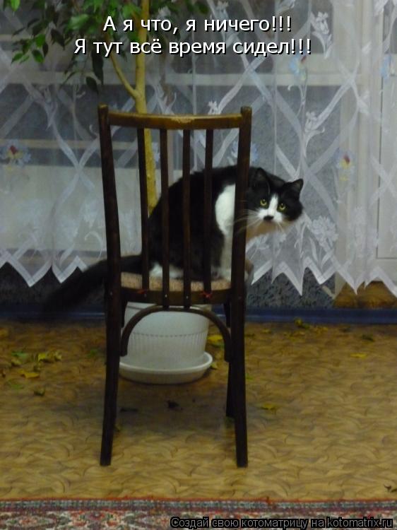 А я что, я ничего!!! Я тут всё время сидел!!!... Котоматрица: А я что, я ничего!!! Я тут всё время сидел!!!