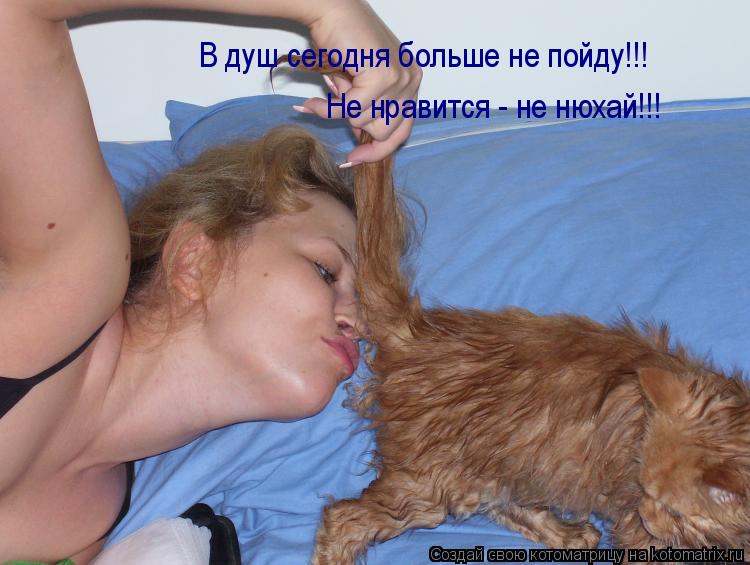 В душ сегодня больше не пойду!!! Не нравится - не нюхай!!!... Котоматрица: В душ сегодня больше не пойду!!! Не нравится - не нюхай!!!