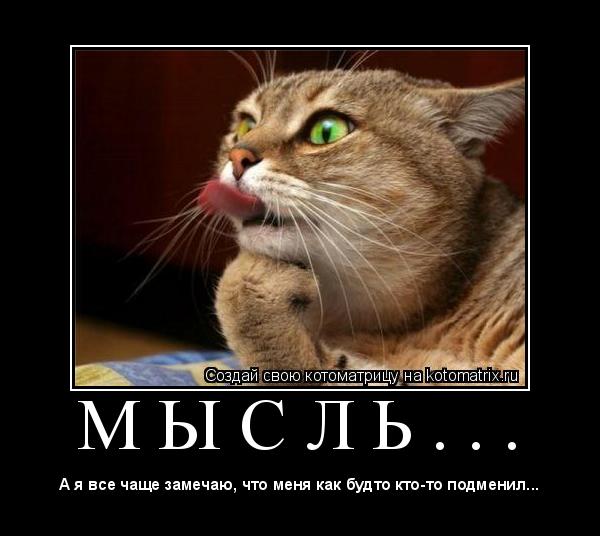 Котоматрица: М Ы С Л Ь . . . 