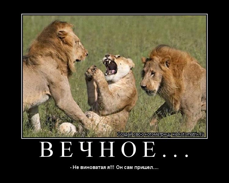 В Е Ч Н О Е . . . ... Котоматрица: В Е Ч Н О Е . . .