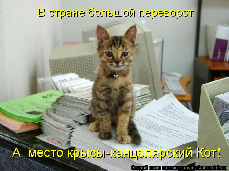 Котоматрица: В стране большой переворот. А  место крысы-канцелярский Кот!