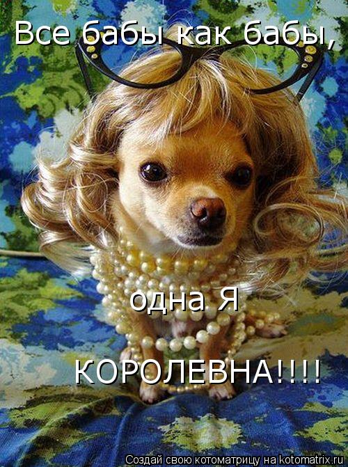 Все бабы как бабы, одна Я КОРОЛЕВНА!!!!... Котоматрица: Все бабы как бабы, одна Я КОРОЛЕВНА!!!!
