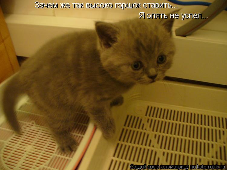 Зачем же так высоко горшок ставить... Я опять не успел...... Котоматрица: Зачем же так высоко горшок ставить... Я опять не успел...