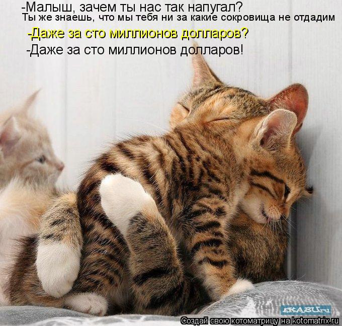 -Малыш, зачем ты нас так напугал? Ты же знаешь, что мы тебя ни за какие сокровища не отдадим -Даже з... Котоматрица: -Малыш, зачем ты нас так напугал? Ты же знаешь, что мы тебя ни за какие сокровища не отдадим -Даже за сто миллионов долларов? -Даже за сто милл